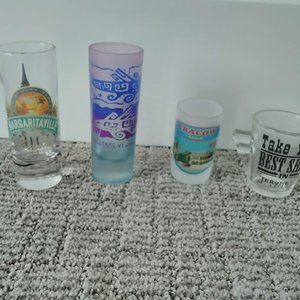 Novelty Shot Glasses Set of 4